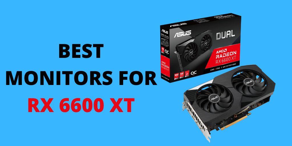 Best Monitors for RX 6600 XT