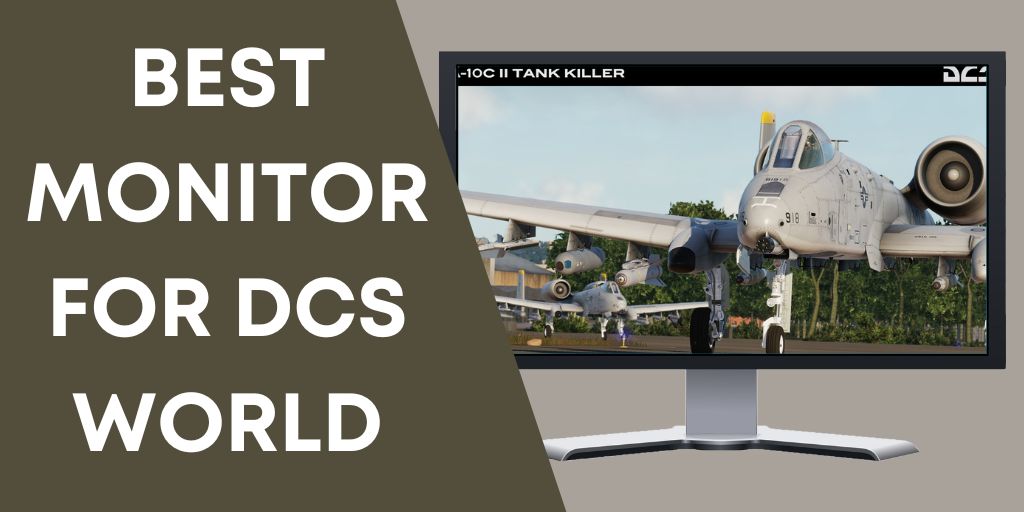 Best monitor for dcs world
